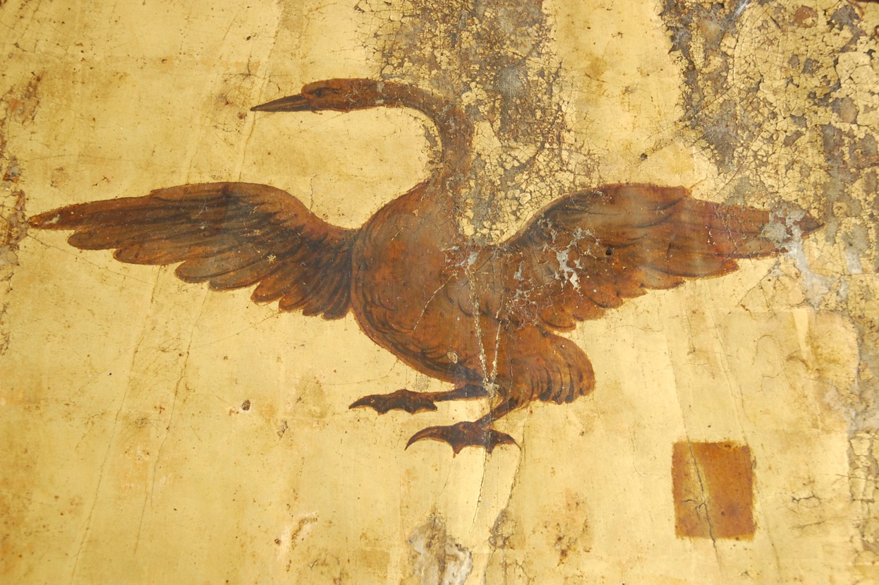 Palazzo_Guiccioli_Ravenna_25